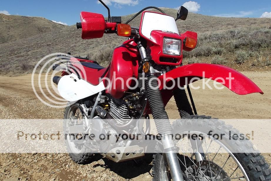 honda xr650l oil capacity